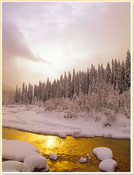 Golden river