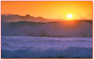 Waves waves
