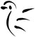 bird3.jpg